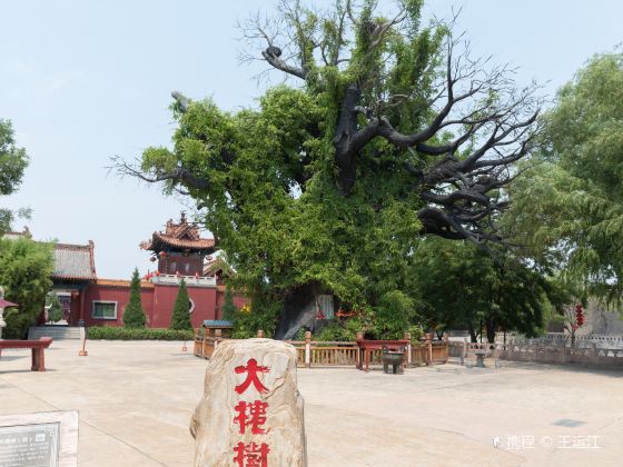 Hongdong Dahuaishu Ancestor Memorial Garden