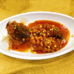 zhen zhu fan dian User Photo