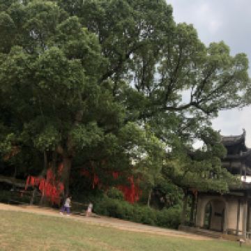 評論圖片 5