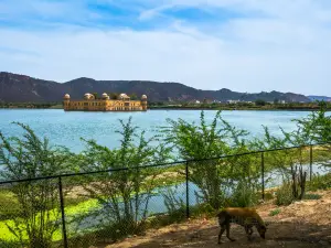 Jal Mahal