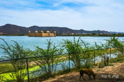 Jal Mahal