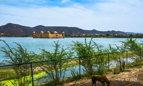 Jal Mahal