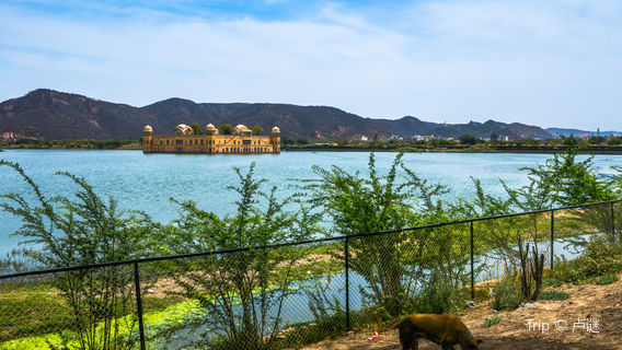 Дворец Джал-Махал