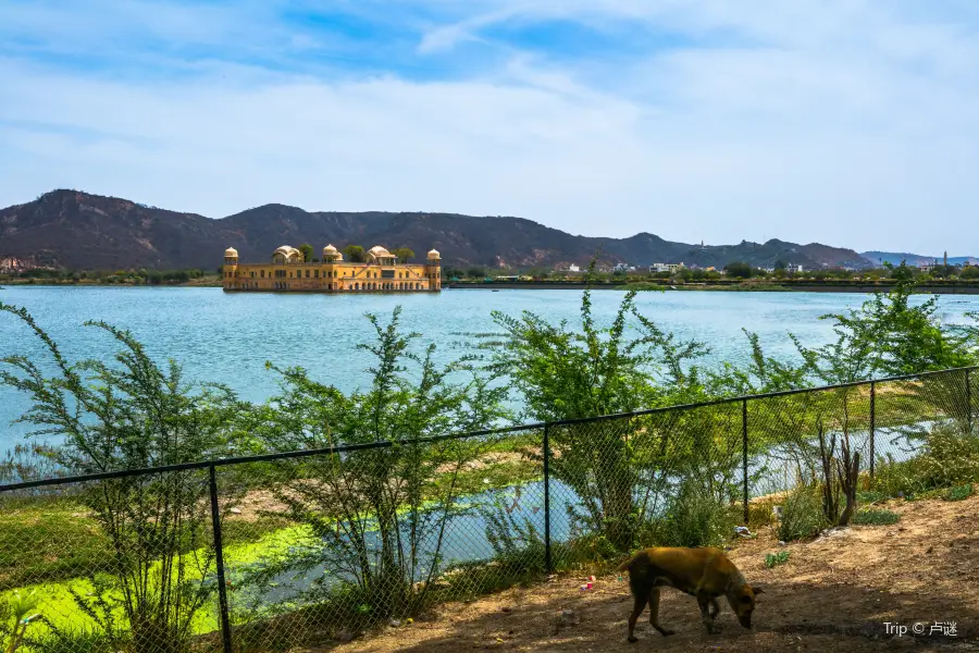 Jal Mahal