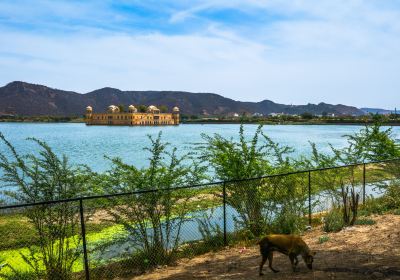 Jal Mahal