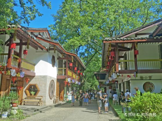 Wuyi Shan Fangsong Gu Street