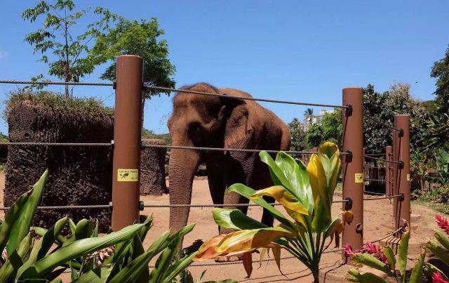 Honolulu Zoo