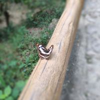 評論圖片 8