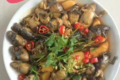 QING LING YING BIN YUAN ZHENG ZONG HUO YU GUAN