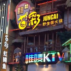 JUNCAI WILD MUSHROOM HOT POT User Photo