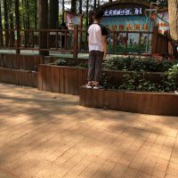 評論圖片 7