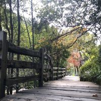 評論圖片 4