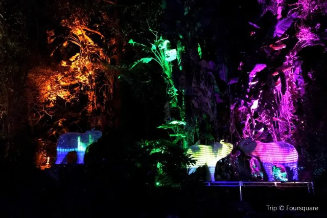 Everything you need to know before going to Los Angeles zoo