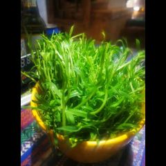 阿大妈腊排骨火锅(木府店) User Photo