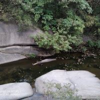 評論圖片 2