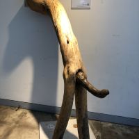 評論圖片 2