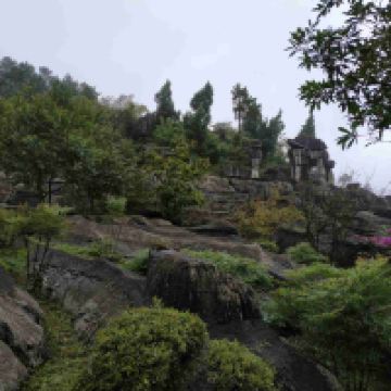 評論圖片 5