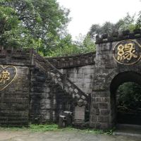 評論圖片 6