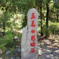 評論圖片 2