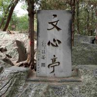 評論圖片 4