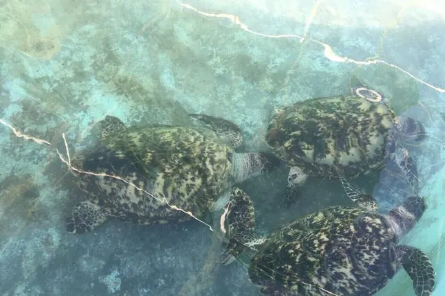 Top 12 Things to Do in Cancun