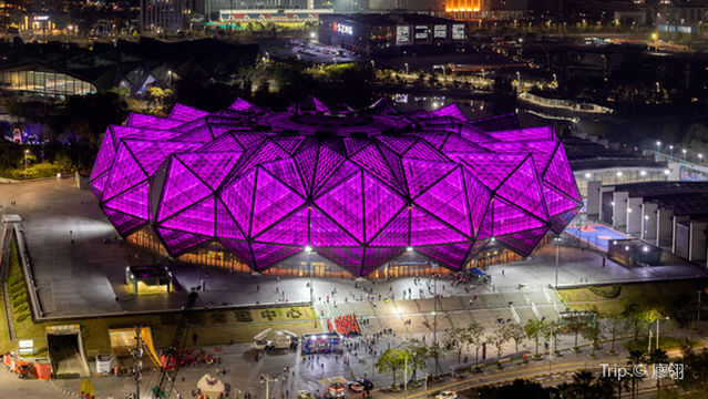 Universiade Shenzhen Gymnasium