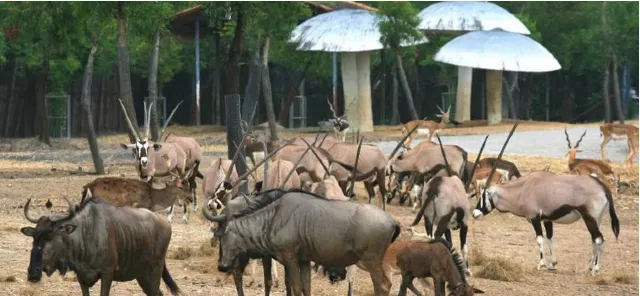 10 Best Things To Do In Bangkok