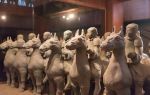 Han Dynasty Terracotta Warriors Museum