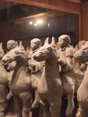 Han Dynasty Terracotta Warriors Museum