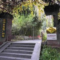 評論圖片 4