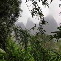 評論圖片 5