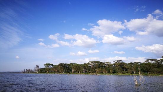 纳库鲁湖也是肯尼亚一座著名的湖泊，这里的淡水资源非常的丰富，