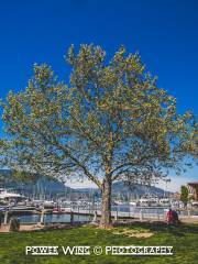 Okanagan Lake Park