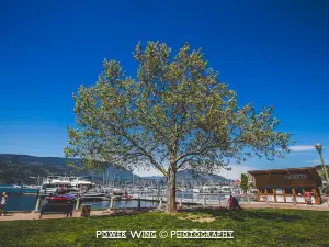 Okanagan Lake Park