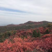 評論圖片 5