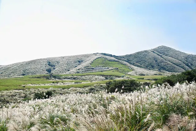 Visit Taipei's Backyard - Yangmingshan