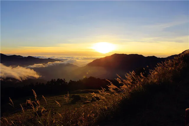 7 Special Experiences on Qingjing Farm, the Mini Switzerland in Taiwan