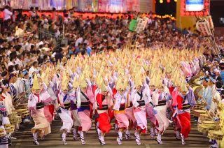 Shikoku Summer Festival: Summer Trip Ideas in July