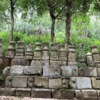 評論圖片 8