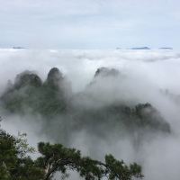 評論圖片 2