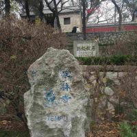 評論圖片 1