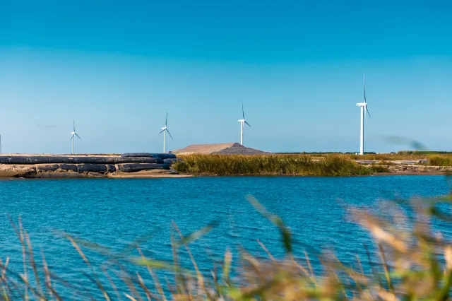 Looking to the Distance, One Can Spot the Beach Treads and Waves, And the Surrounding Area of Nantong is Close to Nature