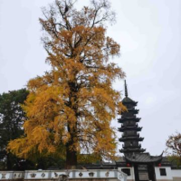 評論圖片 1