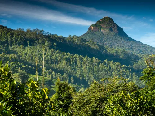 Some Things You Must Do in When Sri Lanka