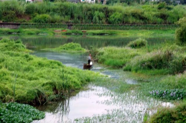 Xiayazhen