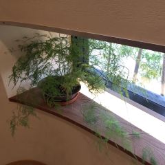 Hakata Meidai Yoshizuka Unagiya User Photo