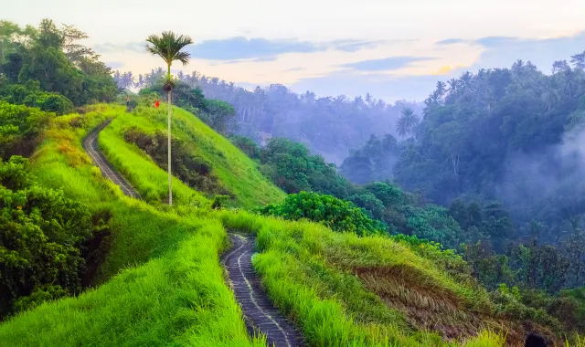 What To Do In Ubud With The Kids: 3 Easy Treks For The Family