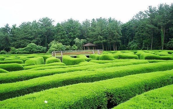제주김녕미로공원