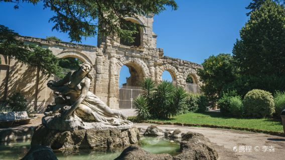 one-day tour to Sénanque Abbey, Saint-Tropique Church, and Arles Roman Theater