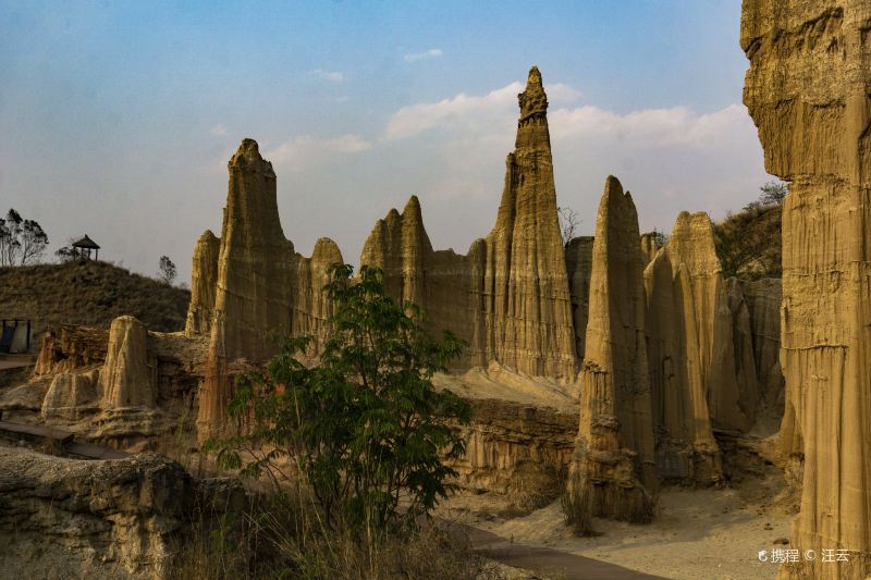 The Wumao Rock Forest (Hutiaoxia [Tiger Leaping Beach] Rock Forest)